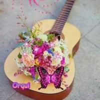 Maria del carmen beltran reina