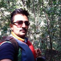 Vikram Pachchigar