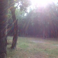 Deepankar Satpati