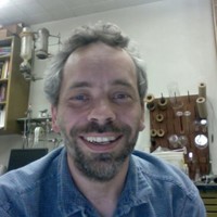 David Brook