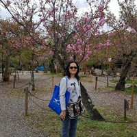 Irene Tay