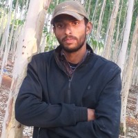 Vignesh Gangannagari