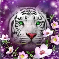 Suleman Wahab