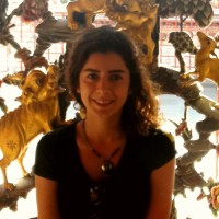 Derya O. Kurin