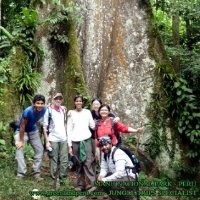 GREEN LAND PERU JUNGLE TRIPS SPECIALIS