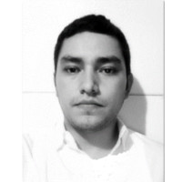 Luis Fernando Amaro Parra