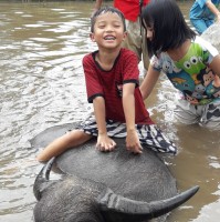 Rafferty Nugroho