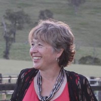 Lynn Jenkin