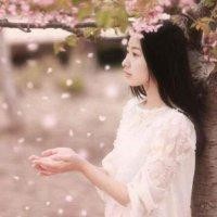 段青青