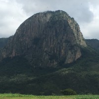 Ricardo Díaz O.