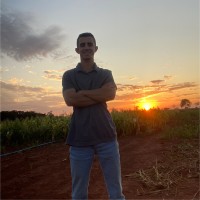 João Gabriel M. De Moura