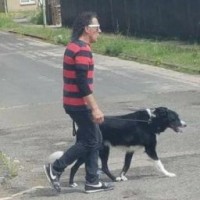 Dennis The Menace