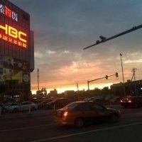 唐安东