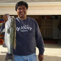 David Villegas
