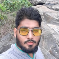 Salman Ansari