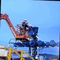 Diego Alberto Torres