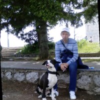 Sreten Mitic