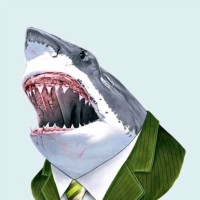 Sharkyboy Fonseca