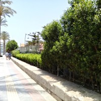 Ahmed Samir