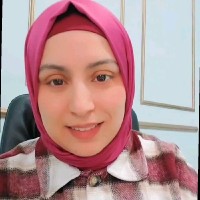 safa feki