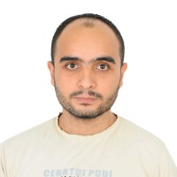 Mohamed Hassan