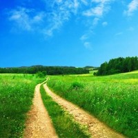 Светлана Померанц