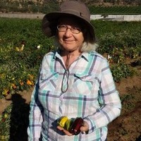 Ellen Leue