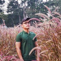 Ronal Paulotua