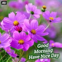 ramesh goud