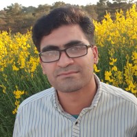 Eman Bakhtiari