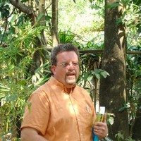 Mark Lewis