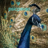 Psicpavao Psicologia E Psicanálise