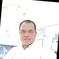 Syafarudin Udin