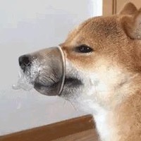 王佳维