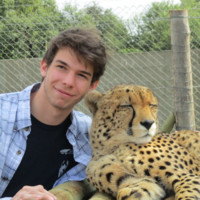 Ryan Thibault