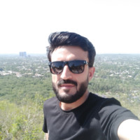 Mehdi Hussain