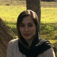 Neshat Karimi