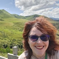 Kelly Merkel, Esq., Cpva, Pmp