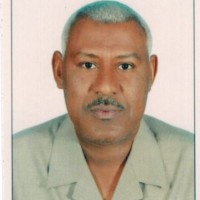 ali altayeb
