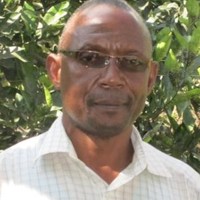 Theonest Kalokora