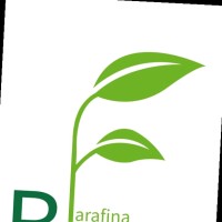 Farafina-bio Unité de Transformation des Fruits