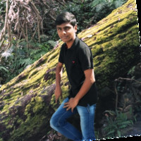 Madhan N