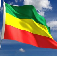 Teddy Hailu