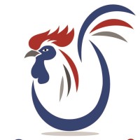 Les oeufs du coq