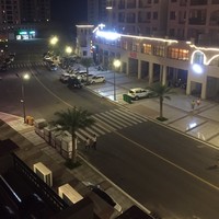 邱振林