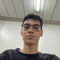 Vinicius Lanzillotta De Oliveira Santos