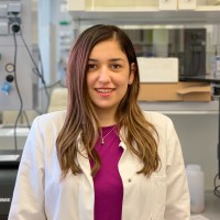 Farah Kouzi Yacoub
