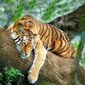 Sandeep Vkidpl