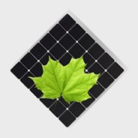 Eco- Green