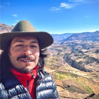 Mauricio Gamboa Rondon